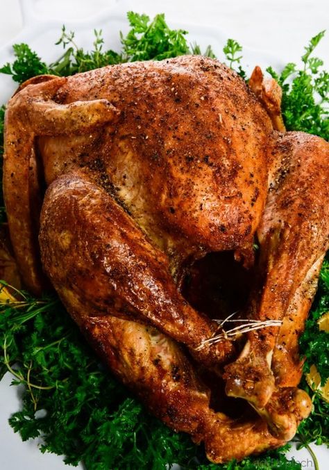 Chicken Recipes - Add a Pinch Simple Gravy, Easy Turkey Recipes Thanksgiving, Easy Thanksgiving Turkey, Slow Roasted Turkey, Meaty Meals, Brined Turkey, Juicy Turkey, Roast Turkey Recipes, Turkey Brine