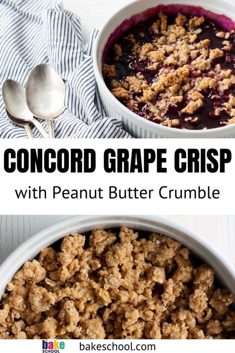 Concord Grape Cobbler, Recipes With Concord Grapes, Concord Grape Pie Filling, Concord Grape Recipes Desserts, What To Do With Concord Grapes, Grape Puree Recipes, Grape Cobbler, Grape Crumble, Grape Butter