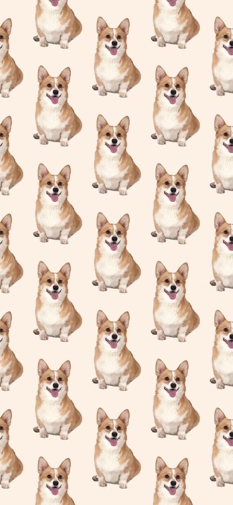 Corgi Iphone Wallpaper, Corgi Backgrounds, Puppy Lockscreen, Dog Computer Wallpaper, Dog Wallpaper Iphone Backgrounds, Dog Background Wallpapers, Corgi Wallpaper Iphone, Dog Pattern Wallpaper, Dog Lockscreen