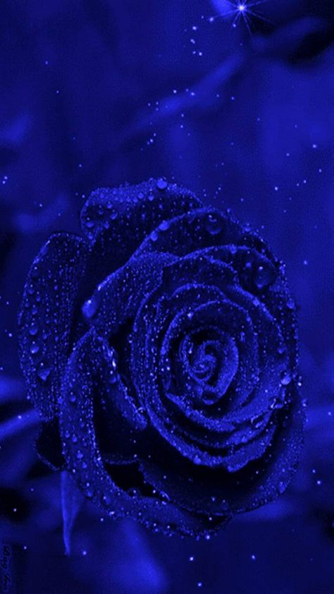 Download Blue Rose wallpaper by PerfumeVanilla - 35 - Free on ZEDGE™ now. Browse millions of popular blue Wallpapers and Ringtones on Zedge and personalize your phone to suit you. Browse our content now and free your phone Wallpaper Mawar, Blue Aesthetic Grunge, Blue Roses Wallpaper, Blue Aesthetic Dark, Red Roses Wallpaper, Blue Flower Wallpaper, Dark Blue Wallpaper, Light Blue Aesthetic, Blue Wallpaper Iphone