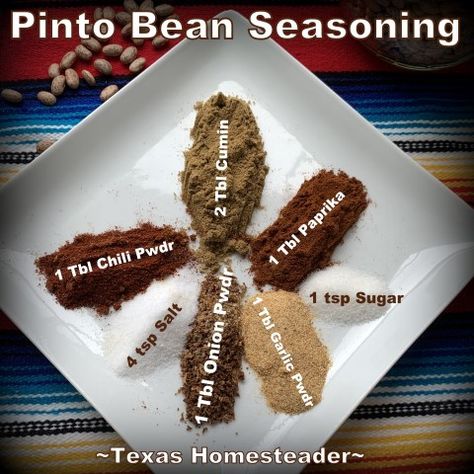 Pinto bean seasoning mix shown on white square plate on colorful cloth background.