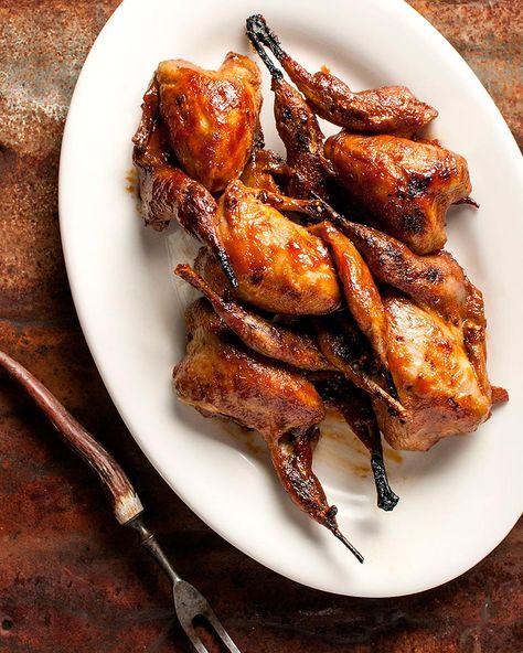 BBQ quail | Barbecued quail | Check out this delicious and flavorful recipe to create perfectly cooked quail every time. Bbq Quail Recipes, Grilled Quail Recipes, Roasted Quail, Pheasant Recipes, Quail Recipes, Diner Recept, Duck Recipes, Rabbit Food, Breast Recipe