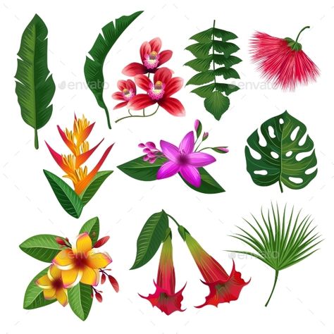 Tropical plants hawaii flowers leaves and branches. Vector illustration isolate on white background. Color blossom flower and gree Hawaiian Plants, Hawaii Flowers, Jungle Flowers, Indoor Flowering Plants, Branch Vector, Leaves And Branches, Yellow Hibiscus, Ad Illustration, Hawaiian Tattoo