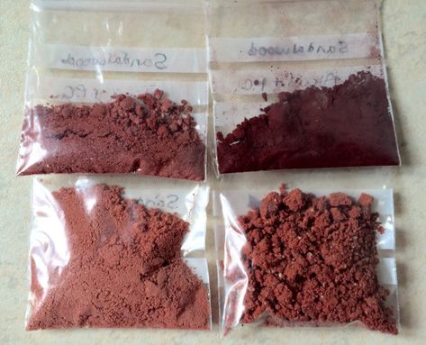 Diy Pigments, Dye Garden, Tinta Natural, Homemade Watercolors, Natural Paint, Homemade Paint, Coffee Filter Paper, Natural Dye Fabric, Eco Dyeing