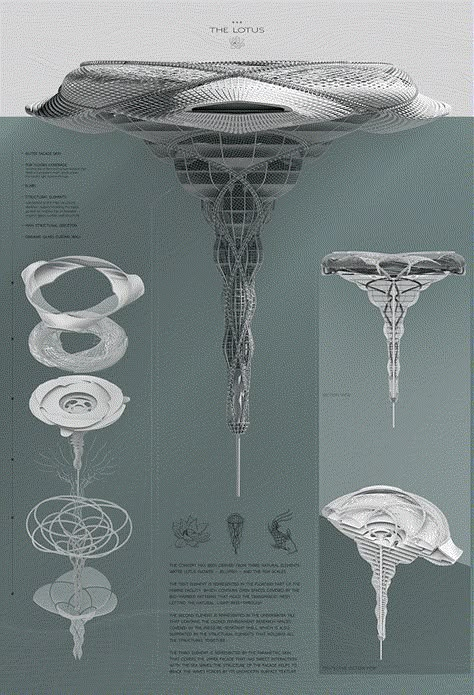 The Lotus on Behance Rhino Architecture, Floating Architecture, Rhino 3d, Conceptual Architecture, Parametric Architecture, Sacred Geometry Art, Architecture Design Drawing, Architecture Model Making, Architecture Concept