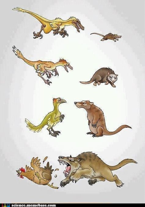 "Evolution is an unforgiving force." Sheldon The Tiny Dinosaur, Jurassic World Dinosaurs, Paleo Art, Dinosaur Funny, Extinct Animals, Jurassic Park World, Dinosaur Art, Prehistoric Creatures, Prehistoric Animals