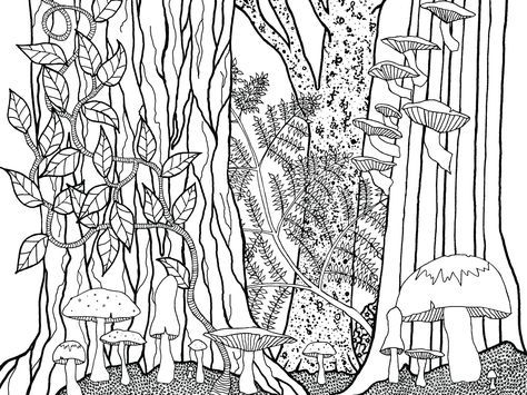 Magic Jungle, Forest Drawing, Crystal Drawing, Poster Color, Floor Murals, Art Noir, Coloring Ideas, Color Image, Forest Floor