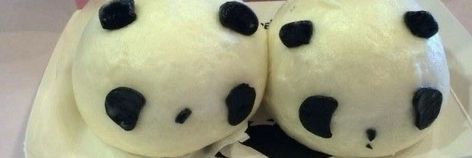 Panda Twitter Header, Y2k Background, Rawr Xd, Twitter Header, Hetalia, Cute Icons, Banners, Wattpad, Layout