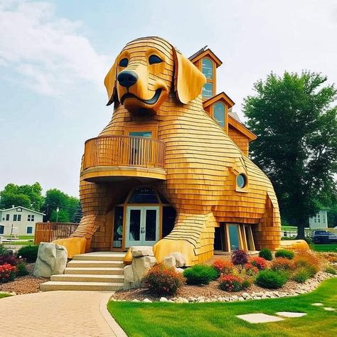 Weird Houses Unusual Homes, Home Colour Design, Crazy Houses, Cool Dog Houses, Unusual Buildings, Unusual Homes, Unique House Design, Interesting Buildings, Unusual Animals