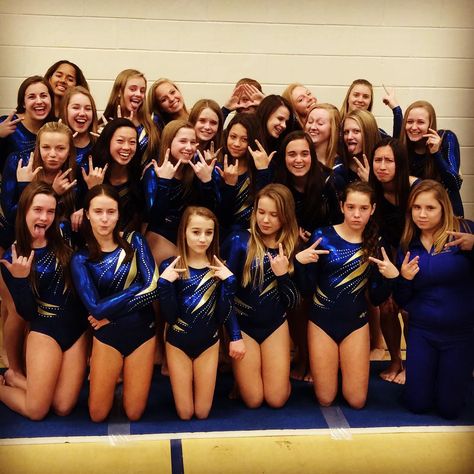 Instagram post by Wayzata High School Gymnastics • Nov 17, 2015 at 2:01am UTC High School Gymnastics, College Gymnastics Pictures, Elena Gymnastics, Usa Gymnastics Team, Ian Gunther Gymnastics, Olga Korbut Gymnastics, Gymnastics Team, Hot Outfits, Leotards