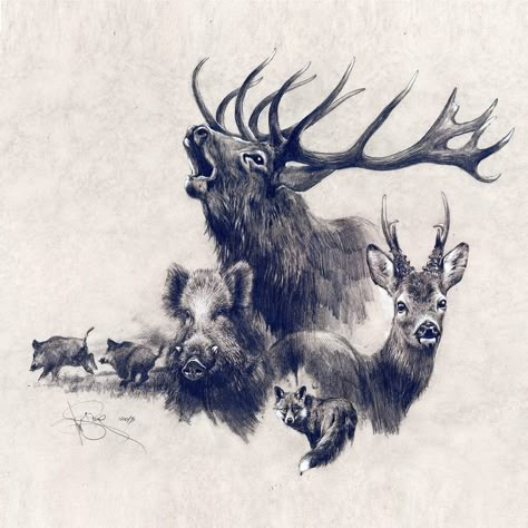 Hunting Tattoos, Regnul Animal, Wild Pig, Deer Tattoo, Hunting Art, Hunting Deer, Hunting Decor, Dachshund Art, Roe Deer