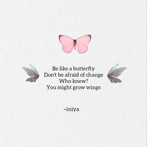 Butterfly Life Quotes, Butterfly And Flower Quotes, Be Like A Butterfly Quote, Be A Butterfly Quote, Buterfluffy Quotes, Quotes For Butterflies, Butterfly Friendship Quotes, Quotes About Butterflies Inspirational, Butterfly Quotes Aesthetic