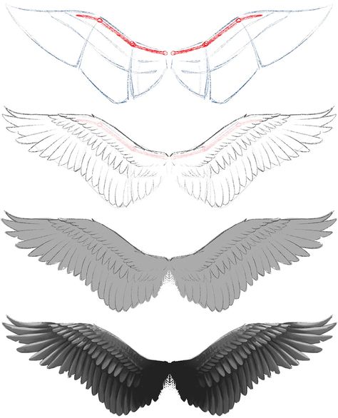 How To Draw Winged People, Types Of Wings Drawing, Fantasy Wings Drawing, Metal Wings Drawing, Human Wings Anatomy, How To Draw Dragon Wings On A Person, Owl Wings Drawing Reference, How To Draw Angel Wings Step By Step Easy, Human With Wings Drawing