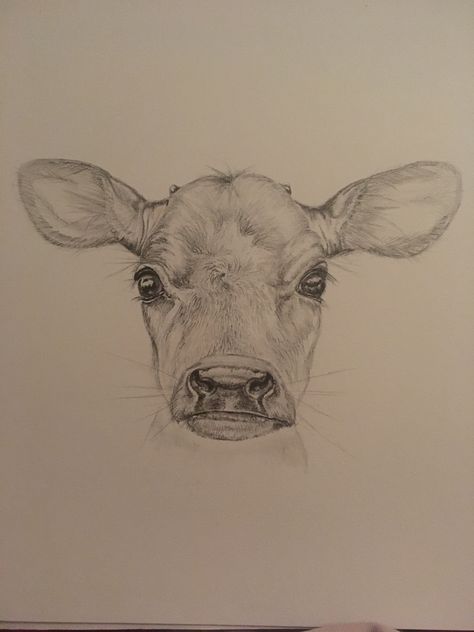 Cow Tail Drawing, Longhorn Sketch, Calf Sketch, Calf Drawing, Cow Drawings, Images For Drawing, Tattoo Calf, Cute Calf, Cow Tattoo