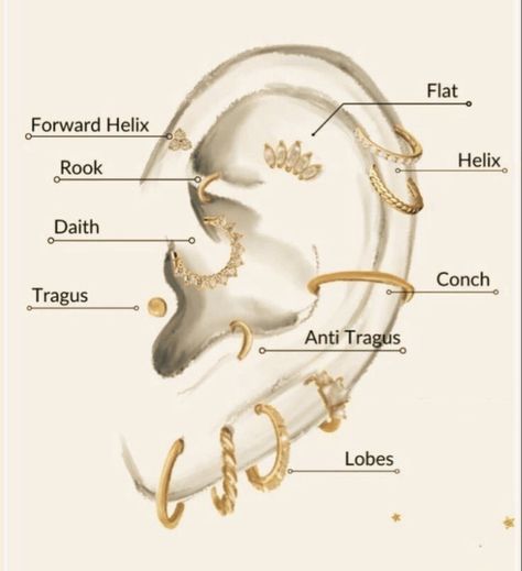 Ear Peirce Chart, Piercing Stack, All Ear Piercings, Full Ear Piercings, Ear Piercing Names, Different Ear Piercings, Earring Stacks, Ear Piercings Chart, Piercing Chart