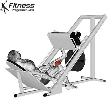 Leg Press Workout, Great Leg Workouts, Single Leg Press, Muscle Booster, Leg Workouts Gym, Calf Exercises, Leg Press Machine, Workouts Gym, Leg Workouts