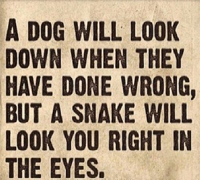 snake | Psychopath Resistance Snake Quotes, Pete Wicks, A Snake, Quotable Quotes, Wise Quotes, Friends Quotes, Wicks, Meaningful Quotes, Great Quotes