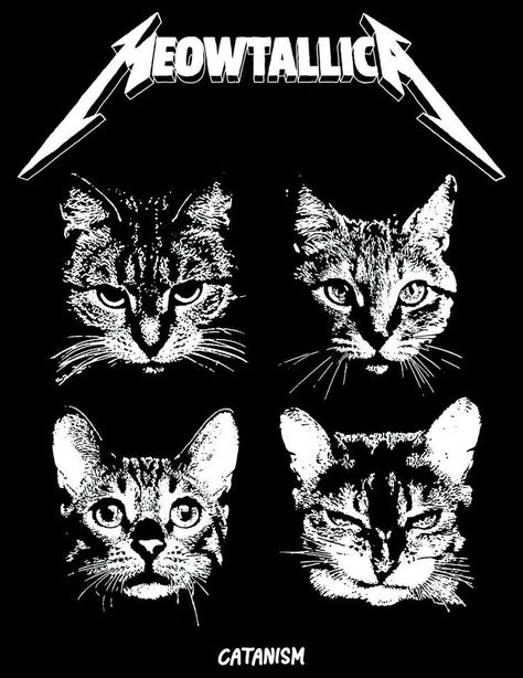 Heavy Metal Cat, Punk Cats, Music Poster Design, Band Wallpapers, Us States, Rock Posters, Cat Posters, Vintage Poster Art, Cat And Dog