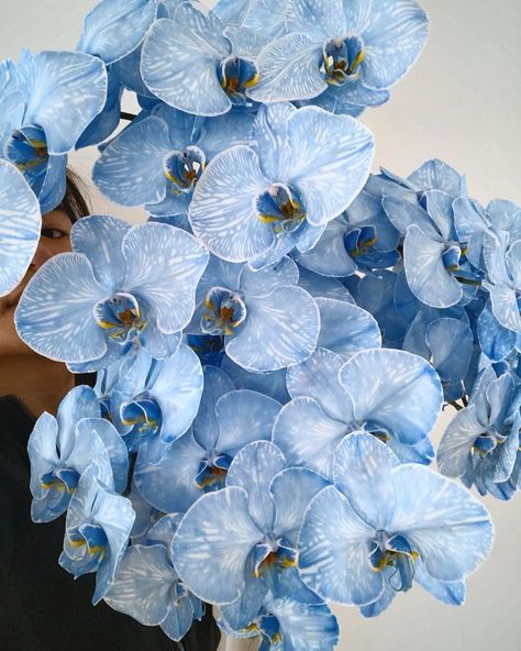 Blue dyed phalaenopsis orchids ! Gorgeous flowers Phalaenopsis Orchid Varieties, Blue Orchids Aesthetic, Blue Orchid Bouquet, Wedding Orchids, Blue Orchid Flower, Orchid Blue, Orchid Flower Arrangements, Yellow And Blue Flowers, Dyed Flowers