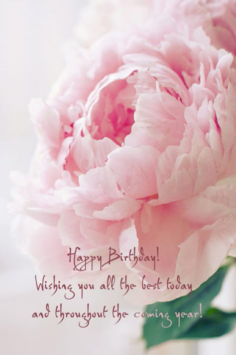 ┌iiiii┐ Happy Birthday birthday cards for women with wishes Have Inspiration, Colorful Roses, Deco Floral, Gardening Supplies, Beautiful Blooms, Pink Peonies, Event Styling, Love Flowers, Art Paint