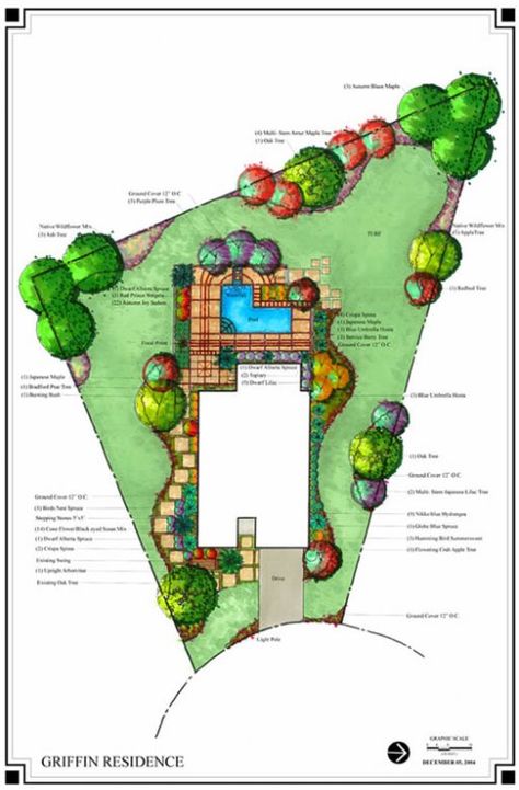 Patio Layout Design, Zeroscaping Backyard, Affordable Backyard Ideas, Arizona Backyard, Large Backyard Landscaping, Modern Patio Design, Landscape Design Drawings, Patio Layout, Backyard Layout