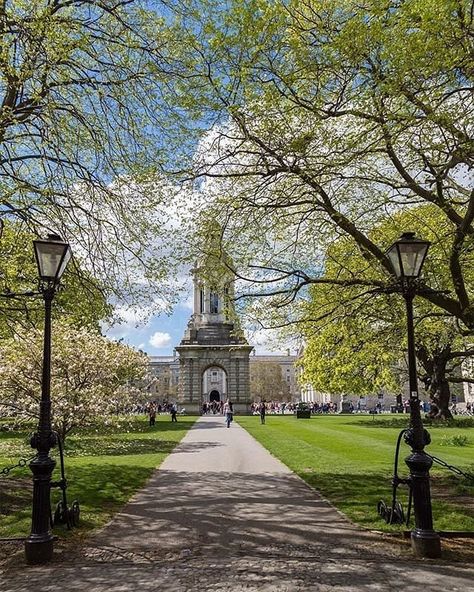 Trinity Dublin College, Trinity University Dublin, Trinity College Dublin Campus, Trinity College Aesthetic, College Aestethic, Trinity College Dublin Aesthetic, Trinity Dublin, Dublin Aesthetic, Trinity University