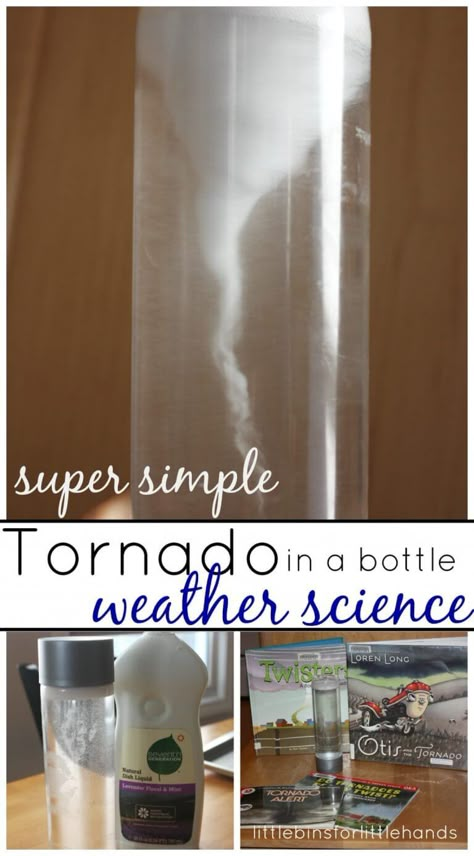 Tornado Bottle Weather Science Experiment For Kids 2nd Grade Science Experiments, Weather Science Activities, Tornado In A Bottle, Tornado Gif, Weather Experiments, Teaching Weather, Science Experience, Preschool Weather, Weather Science