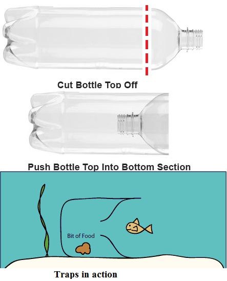 Trap fish bottle plastic Fish Bottle, Fish Trap, Bushcraft Gear, Survival Skills Life Hacks, Outdoor Girls, Forest Adventure, Survival Life Hacks, Apocalypse Survival, Fishing Diy