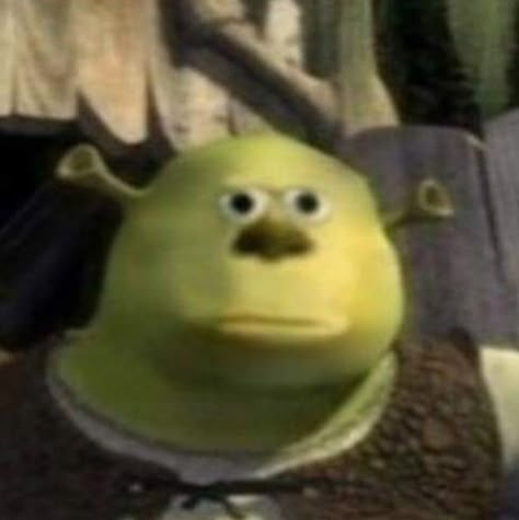 Mike Wazowski, Memes Br, Reaction Memes, Shrek, Reaction Pics, Reaction Pictures, Mood Pics, Funny Pictures, Funny Memes