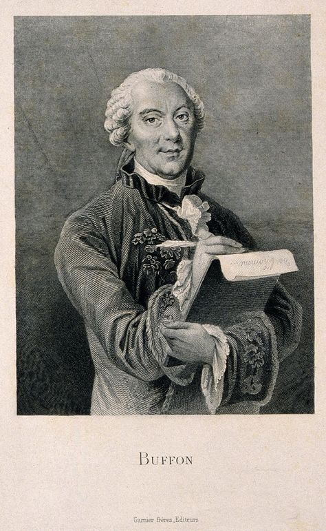 Paige Madison on Twitter: "Happy #histsci birthday to Buffon, who studied all the animal kingdoms. #HistoireNaturelle https://t.co/wYMjKaGgdq https://t.co/NRYmzIlJhP" Georges Cuvier, Jean Baptiste, Animal Kingdom, 18th Century, Art Boards, Greek Statue, The Next, Male Sketch, Statue