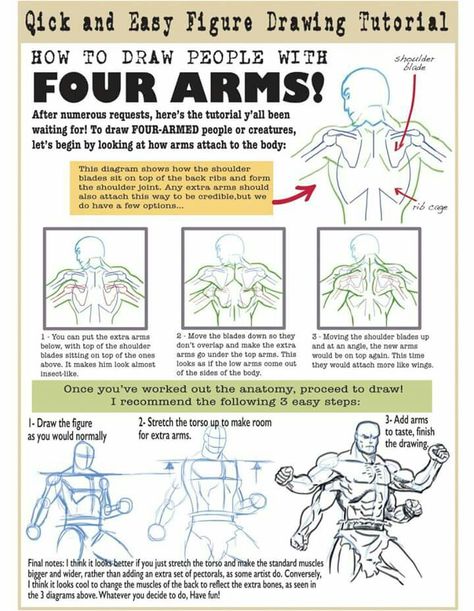 Four arms Four Arm Character Design, Arms Anatomy, 3d Drawing Tutorial, Fantasy Inspo, Figure Drawing Tutorial, Arm Drawing, 4 Arms, Human Anatomy Drawing, Four Arms