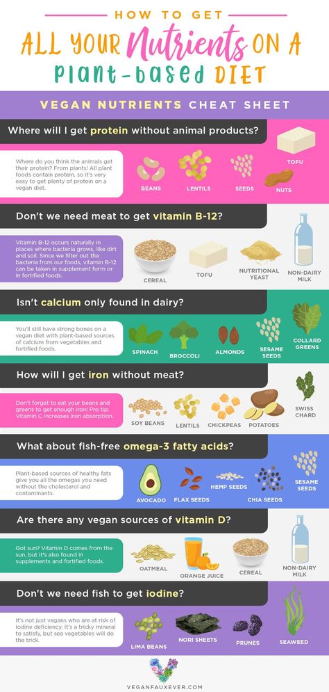 There are so many myths about vegan nutrition. Where do vegans get protein? How do vegans get vitamin B12? Can vegans get enough calcium? etc. Learn everything you need to know about vegan nutrition in this guide so that you can get all of your nutrients as a vegan!#vegannutrition #veganhealth#veganprotein #vitaminB12 #karina71295 Vegan Vitamins, Nutrition Sportive, Baking Soda Beauty Uses, Sport Nutrition, Vegan Nutrition, Diet Guide, Diet Vegetarian, Nutrition Education, Vitamin B12