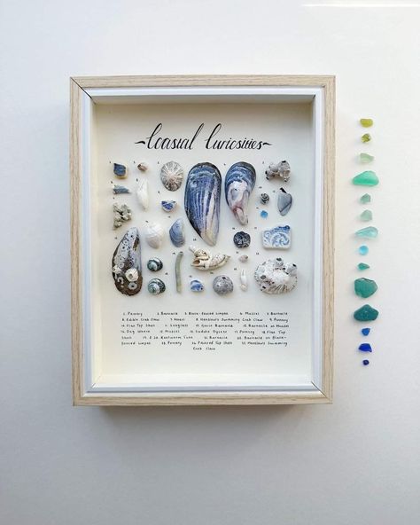 Mini Tela, Seashell Art Diy, Koti Diy, Oyster Shell Crafts, Seashell Wall Art, Nautical Crafts, Shell Crafts Diy, Sea Glass Crafts, Seashell Art