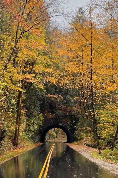 Autumn In Tennessee, Life In Tennessee, Pictures Of Tennessee, Gatlinburg Tennessee Photography, Franklin Tennessee Photography, Nashville Tennessee Fall, Fall In East Tennessee, Gatlinburg Tennessee Pictures, Tennessee Mountains Aesthetic