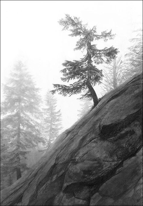 Doug Fluckiger: Photo-realistic Landscape Drawings in Graphite Pencil Landscape, Pencil Sketches Landscape, Pencil Drawings Of Nature, Landscape Pencil Drawings, Realistic Pencil Drawings, Nature Art Drawings, Nature Sketch, Landscape Sketch, Pencil Drawings Easy