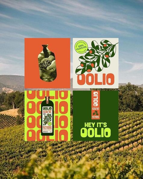 OOLIO 🫒 a premium Greek extra virgin olive oil sourced from the sun-drenched groves of Greece. Amazing design by @clairedesign.nz The use of vibrant colors has further enhanced the brand’s looks, and the illustrations complement the concept perfectly. Well done! 👏 Olive Packaging Design, Vegetable Branding, Olive Oil Illustration, Junko Nana, Olive Oil Design, Tequila Branding, Olive Oil Branding, Olive Oil Packaging Design, Olive Illustration