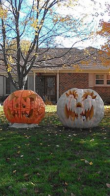 We enjoyed seeing these giant pumpkins carved into jack-o-lanterns Giant Jack O Lantern, Inflatable Pumpkin, Biggest Pumpkin, Large Pumpkins, Giant Pumpkin, Large Pumpkin, Pumpkin Jack, Fall Outdoor Decor, Harvest Festival