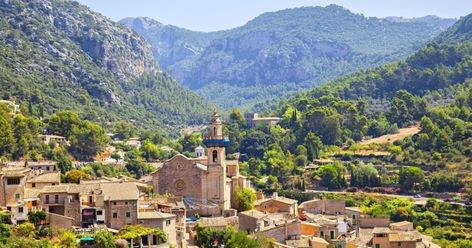 Check out our guide to the best vineyards and wineries to taste and buy wines produced on the island of Mallorca. Farm Tour, Buy Wine, Wine Cooler, Wine Tasting, Favorite Places, Spain, Wine, Good Things