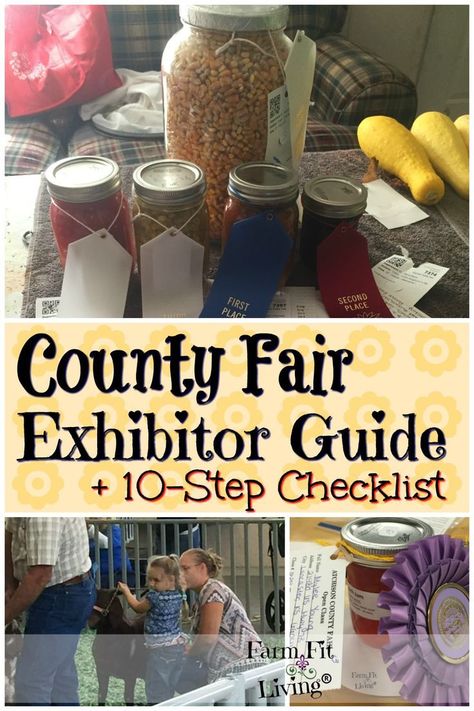 County Fair Exhibit Ideas, County Fair Projects Ideas, 4h Exhibit Ideas, 4 H Fair Projects, 4 H Project Ideas, County Fair Crafts, County Fair Projects, County Fair Theme, 4h Fair