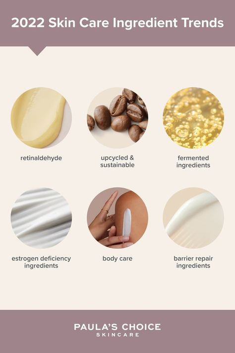 Learn more about the best ingredients for skin at Paula's Choice. Estrogen Deficiency, Paula's Choice Skincare, Skin Care Ingredients, Trends 2025, Paula's Choice, Paulas Choice, Top Skin Care Products, Fitness Advice, Skincare Ingredients