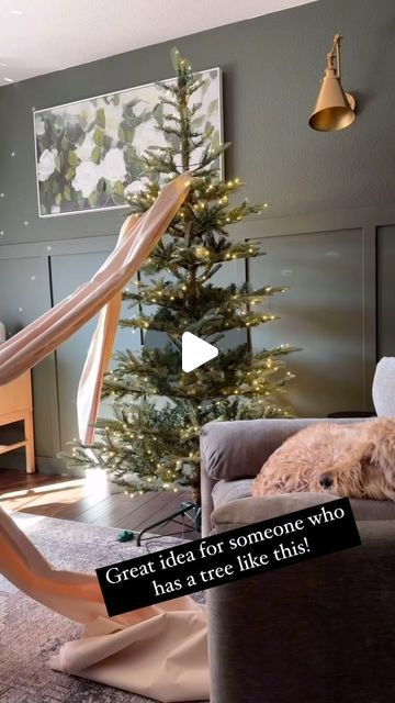 Michelle Dulevich on Instagram: "Although it’s not my style, Great idea for someone who has a tree like this. I get asked a lot on how to decorate trees that are very sparse. It creates a completely different look.🎄

#tips
#christmas2024
#xmastree
#christmastutorials
#christmastreedesigner #christmasdesign
#christmasdecor #christmastreedesigner #christmastreedecorating 
#seasonaldecorating" Christmas Tree In Basement, How To Decorate Sparse Christmas Tree, Christmas Tree Pampas Grass, Cypress Christmas Tree Decorated, Simple Christmas Trees Decorated Ideas, Vintage White Christmas Tree, Decorating A Sparse Christmas Tree, Sparse Christmas Tree Ideas, Baby's Breath Christmas Tree