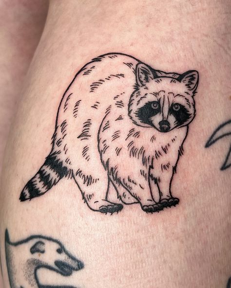 If not friend then why friend shaped? 🥹 My backyard has been a raccoon sighting hotspot this month and it’s actually so entertaining. Thank you for grabbing this flash Camille!! . #torontotattoo #racoontattoo #femaletattooartist Racoon Tattoo, Raccoon Tattoo, Female Tattoo Artists, Tattoos And Piercings, Tattoo Ideas, Flash, Thank You, Tattoos, On Instagram