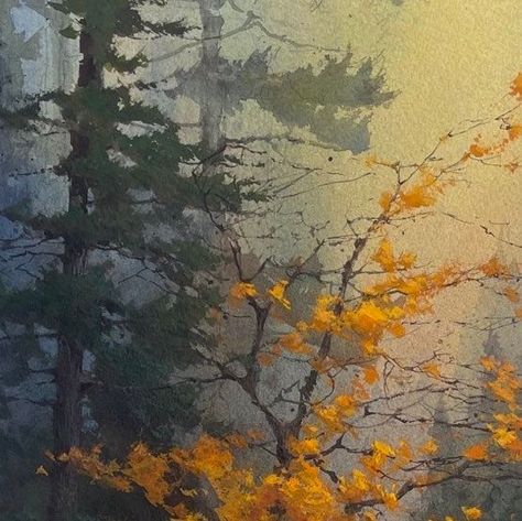 Cindy Baron on Instagram: "“Fall Classic” 20x10 watercolor. #watercolors #gouache #transparent #opaque #fineartpaintings #trees #fallcolors #goldencolors #atmospheric #paintingmoods #watercolorandgouache #pinetrees" Cindy Baron Watercolor, Autumn Tree Watercolor, Autumn Trees Watercolor, Watercolor Aspen Trees, Autumn Watercolor Landscapes, Fall Tree Watercolor Painting, Fall Trees Painting, Cindy Baron, Autumn Trees Painting