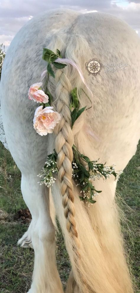 Painting Your Horse For Halloween, Flowers In Horse Mane, Braided Horse Tail, Unicorn Horse Costume, Horse Hair Styles, Horseback Riding Hairstyles, Horse Halloween Costumes Ideas, Horse Mane Styles, Maternity Photos Flowers