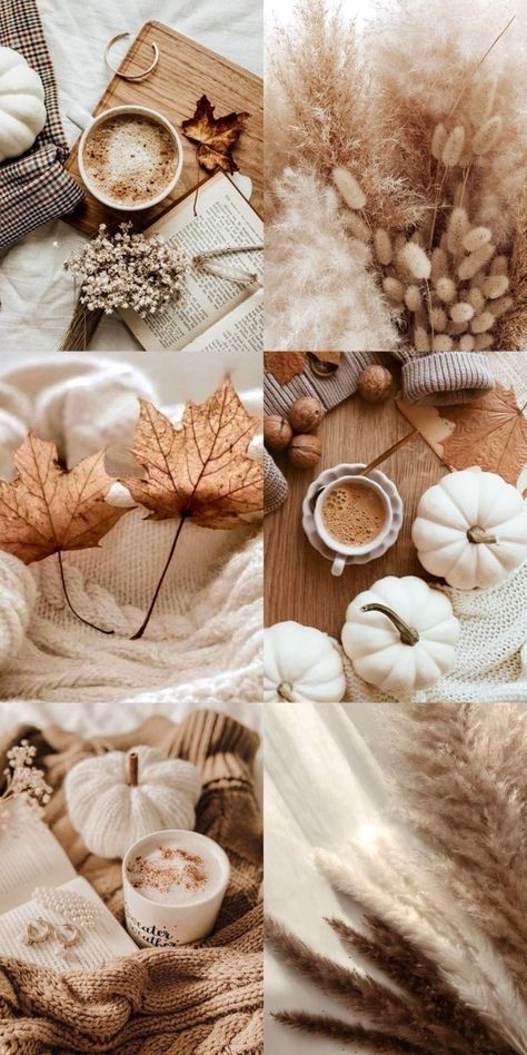 Wallpaper Autumn Iphone, Autumn Collage Wallpaper, Fall Mood Board Aesthetic, September Aesthetic Wallpaper, Iphone Wallpaper Autumn, Autumn Mood Board, Autumn Collage, Fall Backgrounds Iphone, Autumn Phone Wallpaper