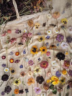 Drying Flowers, Fleurs Diy, Wallpaper Tumblr, Pressed Flower Art, Eco Printing, Trik Fotografi, Bunch Of Flowers, Nature Crafts, Flowers Diy