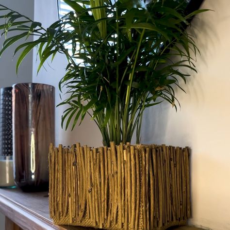 Cardboard Plant Pot, Cardboard Planters Diy, Cardboard Gardening, Junk Modelling, Large Planter Boxes, Big Planters, Pot Diy, Plants Diy, Pot Art