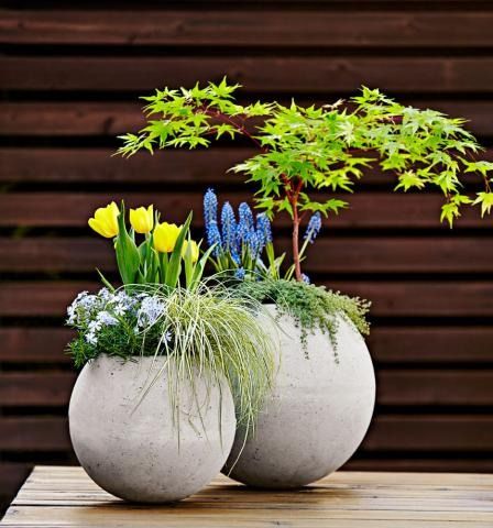 Reimagine the humble concrete garden sphere by flipping it over and transforming it into a planter full of ready-to-bloom spring bulbs. Here's how: http://www.midwestliving.com/garden/container/how-to-make-a-concrete-globe-garden-planter/ Gardening Benefits, Sphere Planter, Garden Diy Decoration Ideas, Garden Planters Diy, Container Gardening Ideas, Diy Frühling, Garden Spheres, Diy Concrete Planters, Concrete Garden