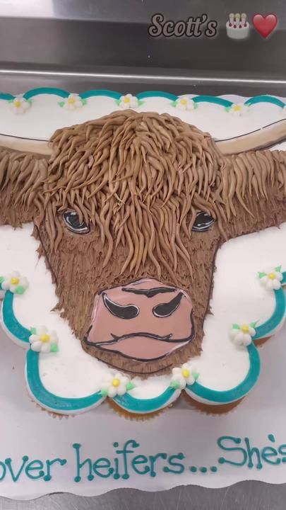 Cupcake Cow Cake, Highland Cow Cupcake Cake, Cow Decorated Cupcakes, Highland Cow Pull Apart Cupcake Cake, Highland Cow Cookie Cake, Highland Cow Pull Apart Cupcake, Scottish Highland Cow Cake, Highland Cow Sheet Cake, Cow Cupcake Cake