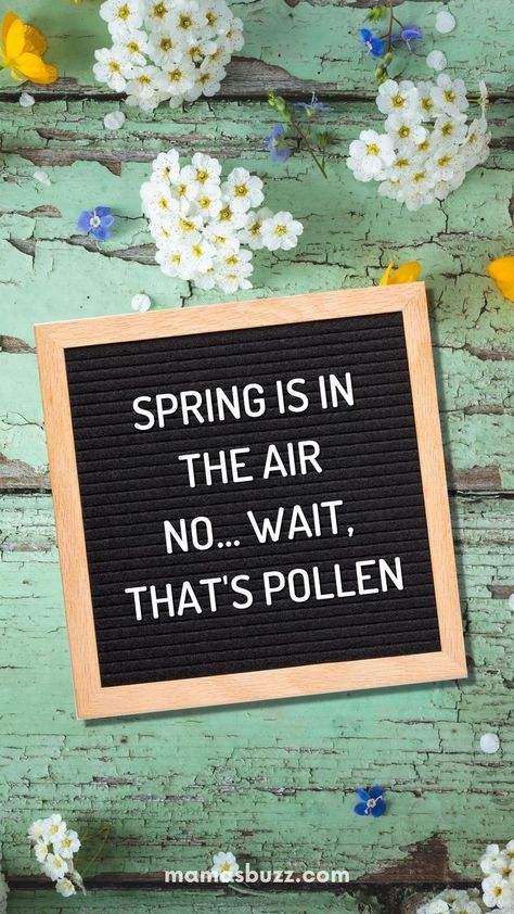 spring letter board quotes Spring Letter Board Quotes, Spring Letter Board, Spring Jokes, Letter Board Ideas, Letterboard Signs, Letter Board Quotes, Spring Funny, Message Board Quotes, Season Quotes